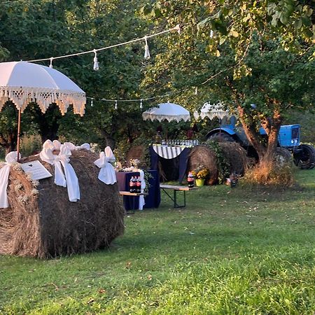 Guest House Zirga Smaids Kušneri Eksteriør bilde