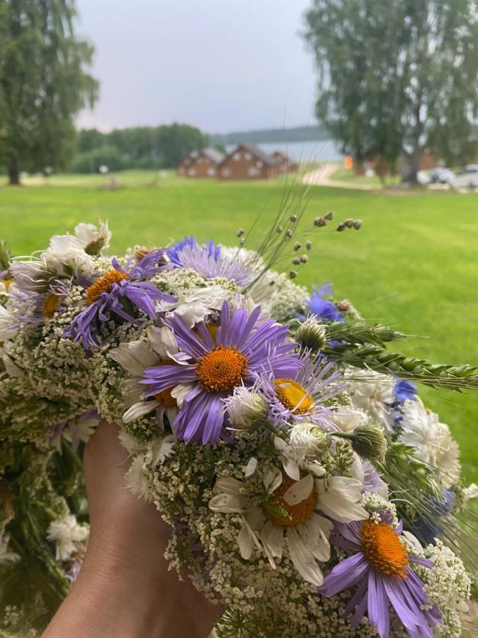 Guest House Zirga Smaids Kušneri Eksteriør bilde